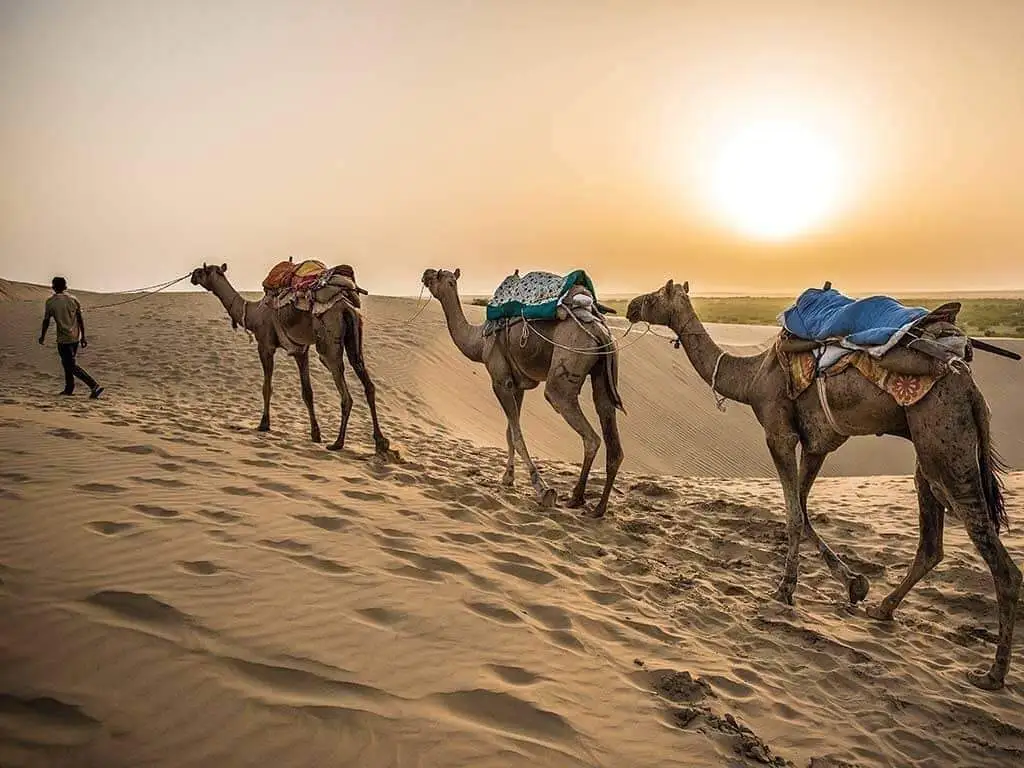 Luxury fleet at airport